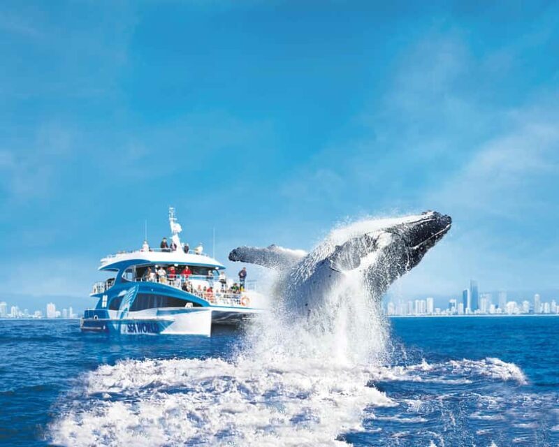 Gold Coast: Whale Watching Cruise & Sea World Entry - The Sea World Day