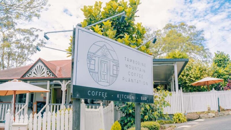 Gold Coast: Wine, Distillery & Rainforest Day Tour - Who Will Love This Tour?