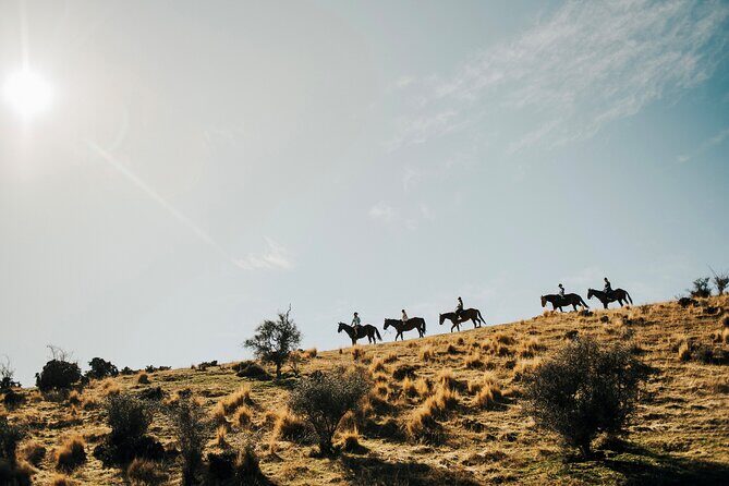 Gold Discovery Trail Horse Trek Cardrona - Most popular! - Exploring the Gold Discovery Trail Horse Trek in Cardrona