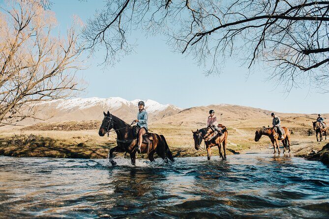 Gold Discovery Trail Horse Trek Cardrona - Most popular! - Key Points