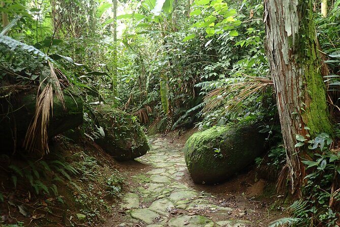 Gold Trail Atlantic Forest Walk - Practical Details and Tips