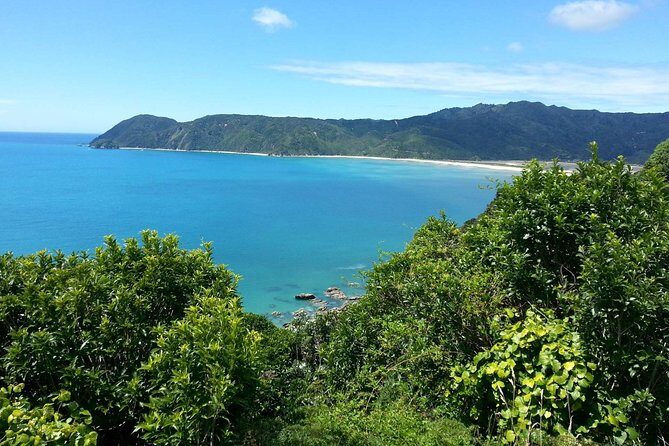 Golden Bay in a Day - Exploring Golden Bay in a Day: An In-Depth Review
