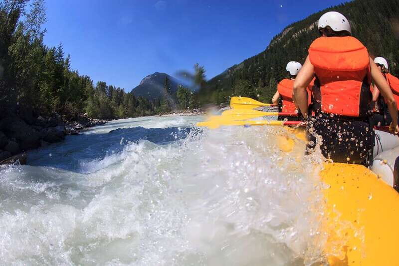 Golden, BC: Kicking Horse River Half Day Whitewater Rafting - Practical Tips for Your Trip