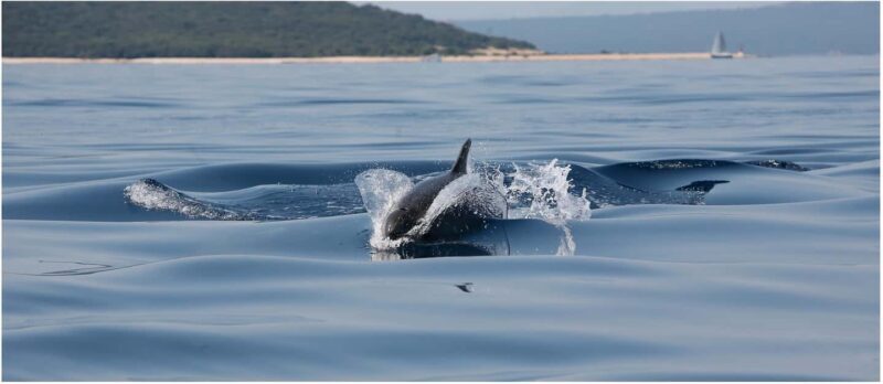 Golden Beach & Blue Cave Exclusive Private Boat Tour - Practical Tips for the Trip