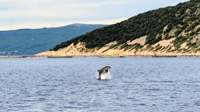 Golden Beach & Blue Cave Exclusive Private Boat Tour - The Sum Up