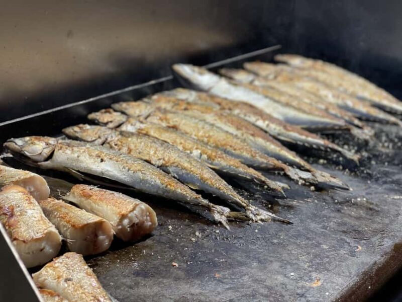 Golden Beach & island Plavnik Cruise, optional grill picnic - A Detailed Look at the Golden Beach & Island Plavnik Cruise