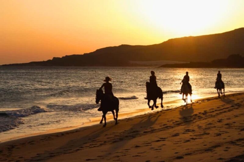 Golden Beach Sunrise: Horse Riding - Key Points