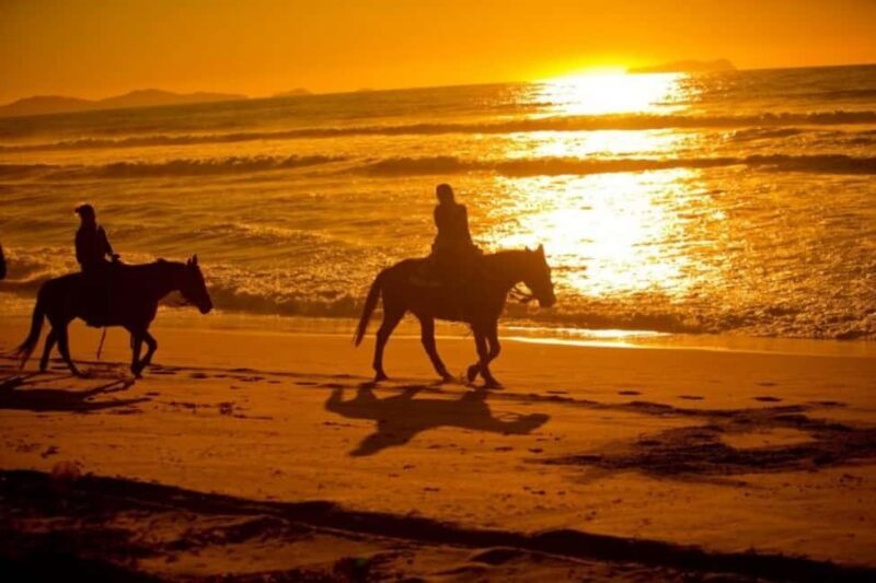 Golden Beach Sunrise: Horse Riding - Authentic Moments and Picture-Perfect Views