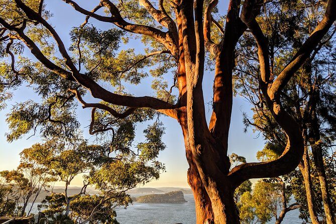 Golden Beaches and Ocean Vistas MANLY AND NORTHERN BEACHES PRIVATE TOUR - FAQ