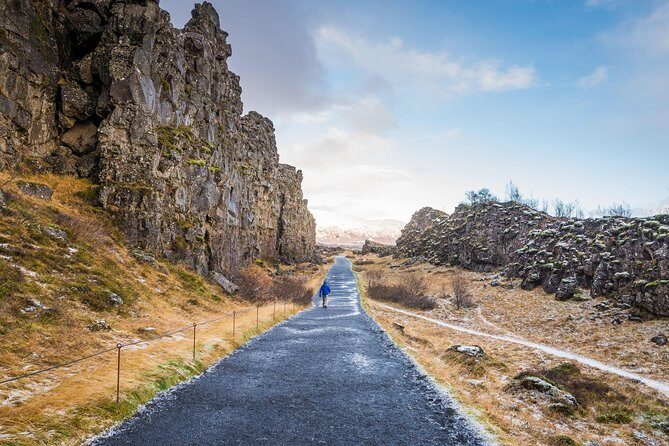 Golden Circle and Fontana Geothermal Spa Day Trip from Reykjavik - Who Should Take This Tour?
