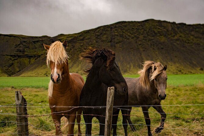 Golden Circle Cruise Arrival: Exclusive Small Group Tour - Exploring Iceland’s Golden Circle in Comfortable, Small-Group Style