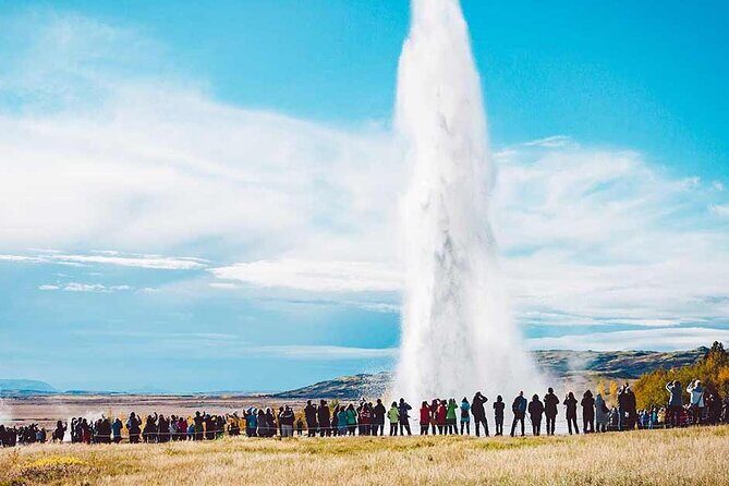 Golden Circle & Friðheimar Experience: Private Farm & Wonder Tour - A Deep Dive into the Tour Experience