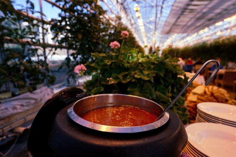 Golden Circle & Lunch at Fridheimar Tomato Farm- with photos - Witnessing Geysir and Geothermal Activity