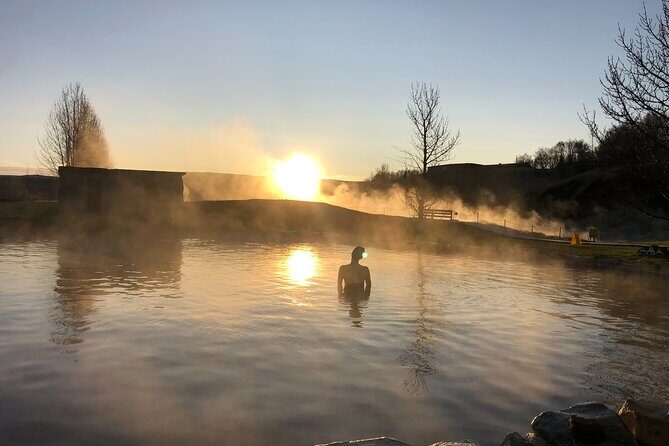 Golden Circle, Secret Lagoon and Northern Lights Tour - A Deep Dive into the Tour Experience