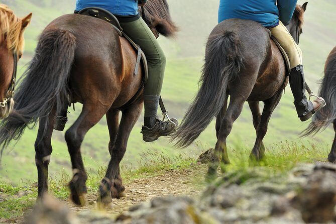 Golden Circle & Viking Horse Experience - An In-Depth Look at the Tour