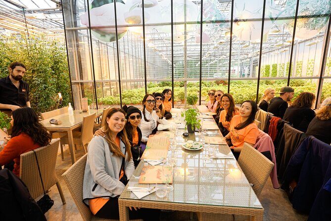 Golden Circle with Tomato Farm Lunch & Secret Lagoon Bathing - Who Would Enjoy This Tour?