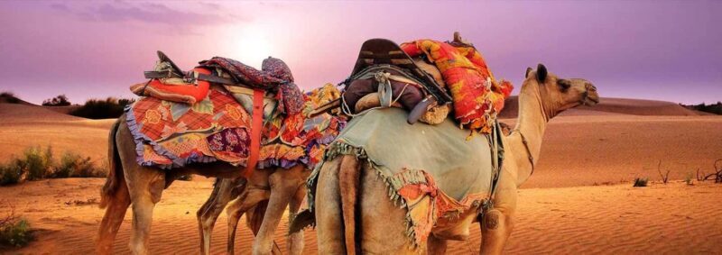 Golden City Of Rajasthan, Jaisalmer Desert Tour (02 Days) - Key Points