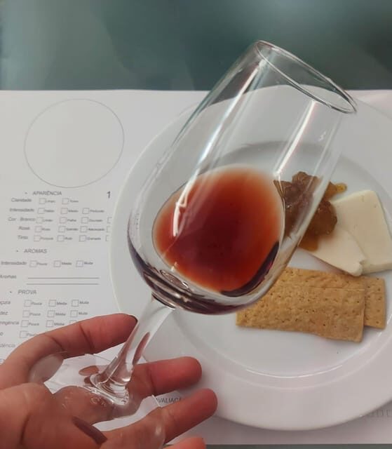 Golden Era of Évora walking & the portuguese wine tasting. - Who Will Enjoy This Tour?