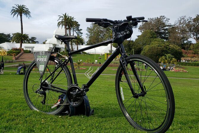 Golden Gate Park Bike Rentals - A Deep Dive into the Golden Gate Park Bike Rental Experience