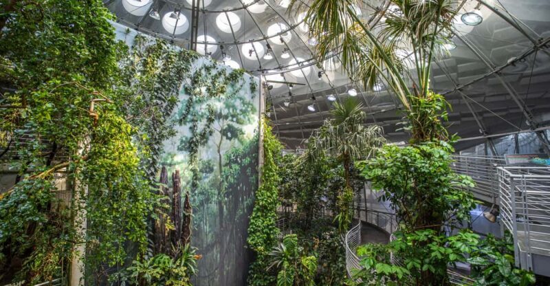Golden Gate Park Tour With California Academy of Sciences - Summary: The Value of This Experience