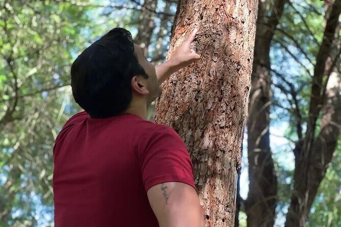 Golden Gate Park's Hidden Gems, Highlights and History - Final Thoughts: Who Will Love This Tour?