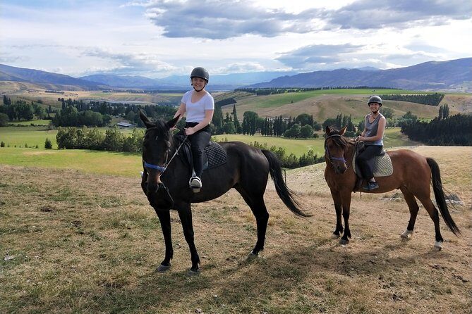 Golden Hills Horse Trek in Central Otago - Why We Love the Golden Hills Horse Trek