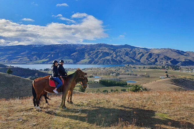 Golden Hills Horse Trek in Central Otago - A Closer Look at the Experience