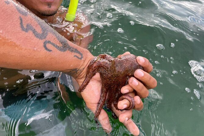 Golden Hour & Afternoon Snorkeling - The Sum Up: Is It Worth It?