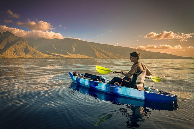 Golden Hour Kayak And Whale Watch - Exploring Maui from the Water: The Golden Hour Kayak and Whale Watch Tour