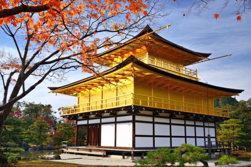 Golden Pavilion, Nijo Castle, & Nishiki Market Half day tour - A Detailed Look at the Itinerary and Experience