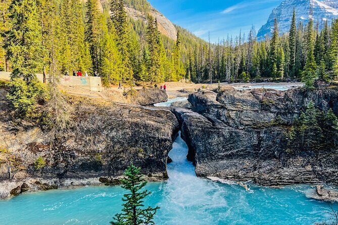 Golden Skybridge Emerald Lake Natural Bridge and Takakkaw Falls - Experience the Natural Beauty of Banff and Yoho National Park