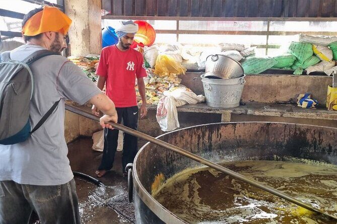 Golden Temple and Jallianwala Bagh Guided Tour - Who This Tour Is Best For