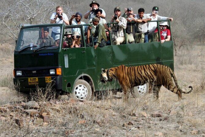 Golden Triangle & Ranthambore: 4-Day Private Tour from Delhi - The Sum Up