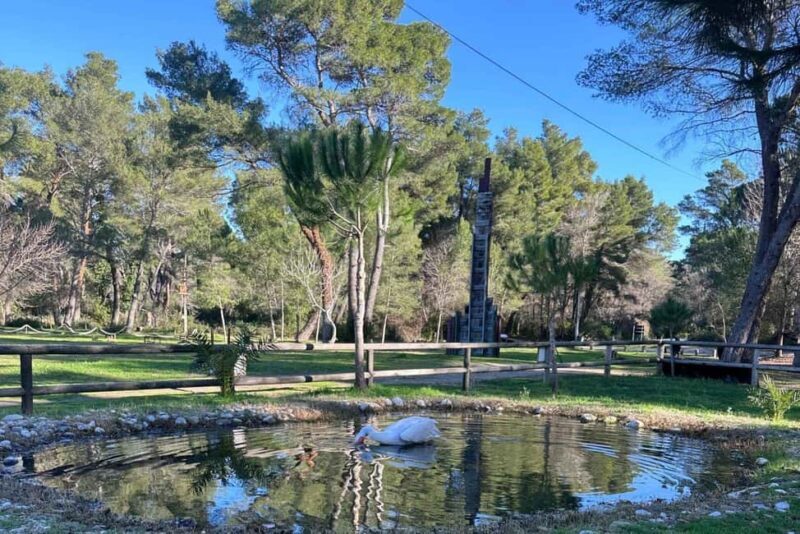 Golem/Durrës: Karavasta Lagoon Tour - Key Points