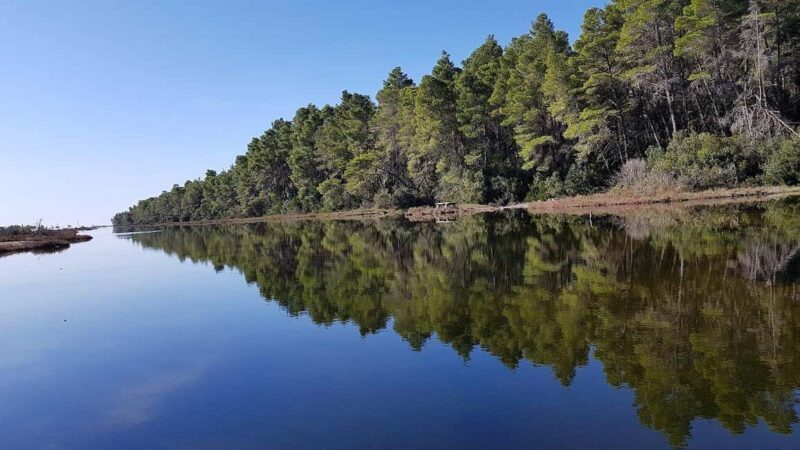 Golem/Durrës: Karavasta Lagoon Tour - A Detailed Look at the Karavasta Lagoon Tour