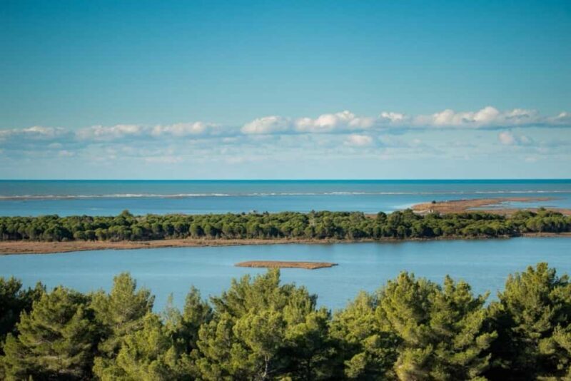 Golem/Durrës: Karavasta Lagoon Tour - Analyzing the Value