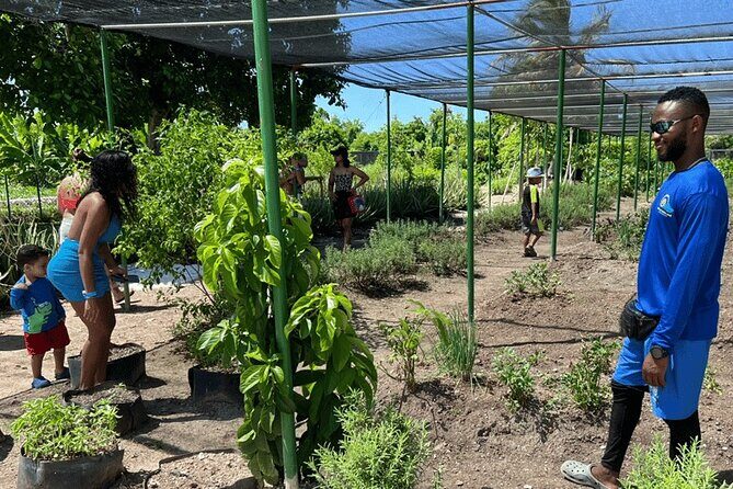 Golf Cart Eco Tour Half Day Tour - Who Will Appreciate This Tour?