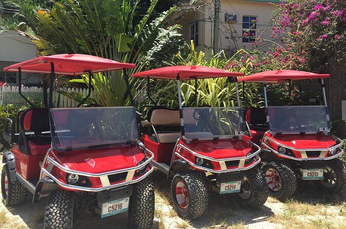 Golf Cart Rental by Group 3-4seater - Analyzing the Cost and Value
