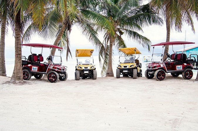 Golf Cart Rental by Group 3-4seater - Who Will Love This Experience?