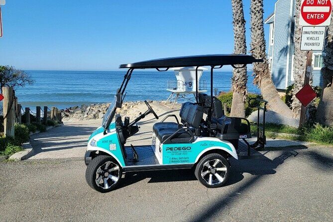 Golf Cart Rentals LSV in Carlsbad - Value and Cost Analysis