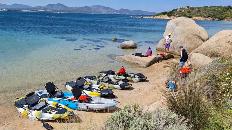 Golfo Aranci: Dolphin Watching Kayaking Tour with Aperitif - In-Depth Review of the Golfo Aranci Dolphin Kayaking Tour