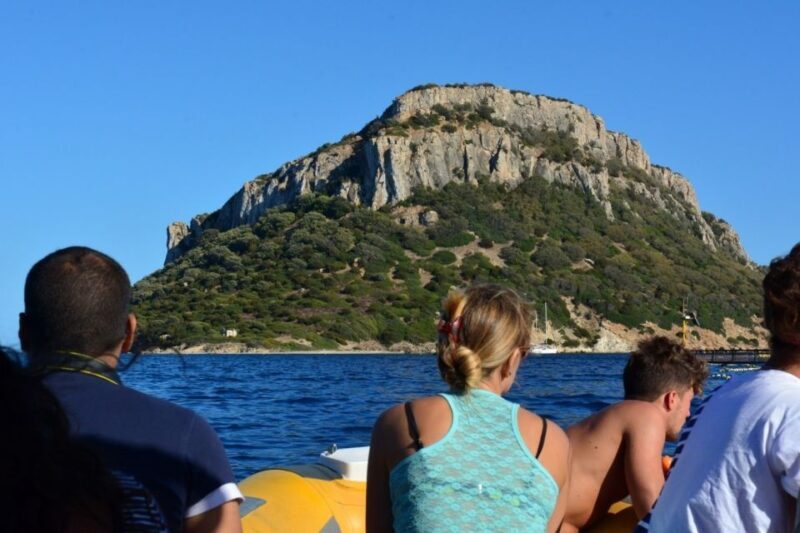 Golfo Aranci: Eco-Friendly Dolphin Watching Boat Trip - The Authentic Encounter: What Travelers Say