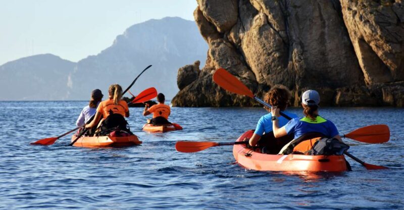 Golfo Aranci: Kayak Tour with Dolphins and Aperitif - A Detailed Look at the Experience