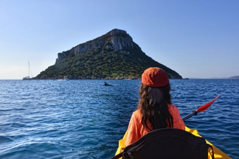 Golfo Aranci: Kayak Tour with Dolphins and Aperitif - Who Will Love This Tour?