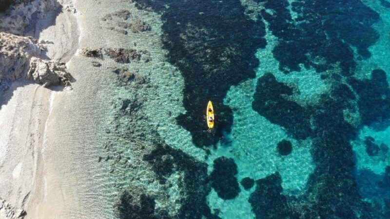 Golfo Aranci: Small group Kayak tour with Aperitif &dolphins - Discover Sardinia’s Coastal Charm on a Small-Group Kayak Tour with Dolphins and Snacks