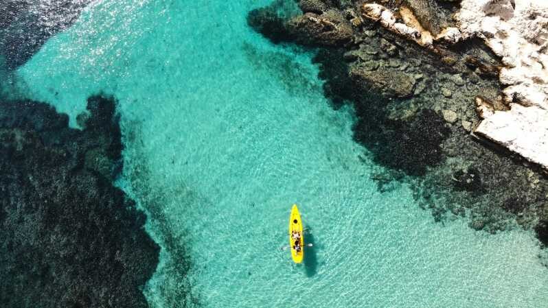 Golfo Aranci: Small group Kayak tour with Aperitif &dolphins - Authenticity and Value