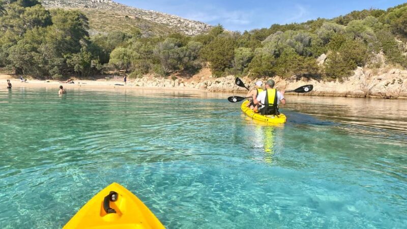Golfo Aranci: Small group Kayak tour with Aperitif &dolphins - FAQs