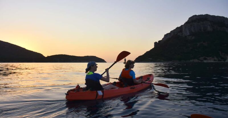 Golfo Aranci: Sunrise Dolphin Kayak Tour with Breakfast - What to Expect on the Sunrise Dolphin Kayak Tour