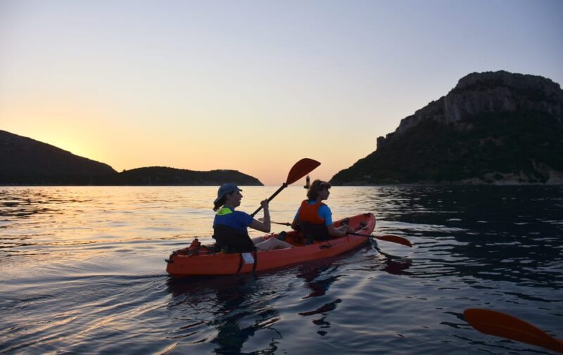 Golfo Aranci: Sunrise Dolphin Kayak Tour with Breakfast - Who Will Enjoy This Tour?
