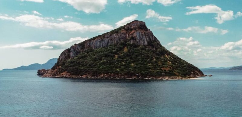 Golfo Aranci: Sunset Dolphin Kayak Tour with Aperitif - FAQ
